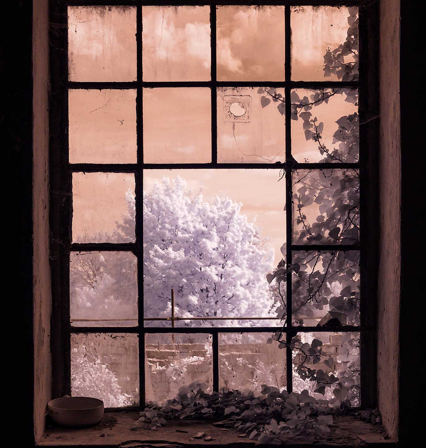 Auf zu neuen Ufern Image